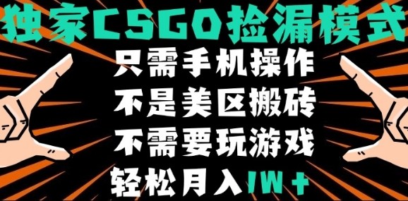 CSGO自动捡漏项目，最新独家玩法，不是美区搬砖，不需要了解和玩游戏，新手小白轻松月入1W+【揭秘】-富爸爸项目圈