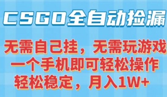 CSGO自动捡漏项目，最新独家玩法，一个手机可操作，新手小白轻松月入1W+，操作简单易上手【揭秘】-富爸爸项目圈