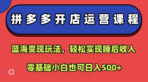 拼多多开店运营课程：蓝海变现玩法，轻松实现睡后收入，零基础小白也可日入5张-富爸爸项目圈