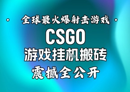 【年底大揭秘】基于全球最火爆的射击CSGO游戏挂G搬砖，日入5张+，震撼公开-富爸爸项目圈