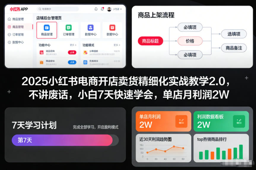 2025小红书电商开店卖货精细化实战教学2.0，不讲废话，小白7天快速学会，单店月利润2W-富爸爸项目圈