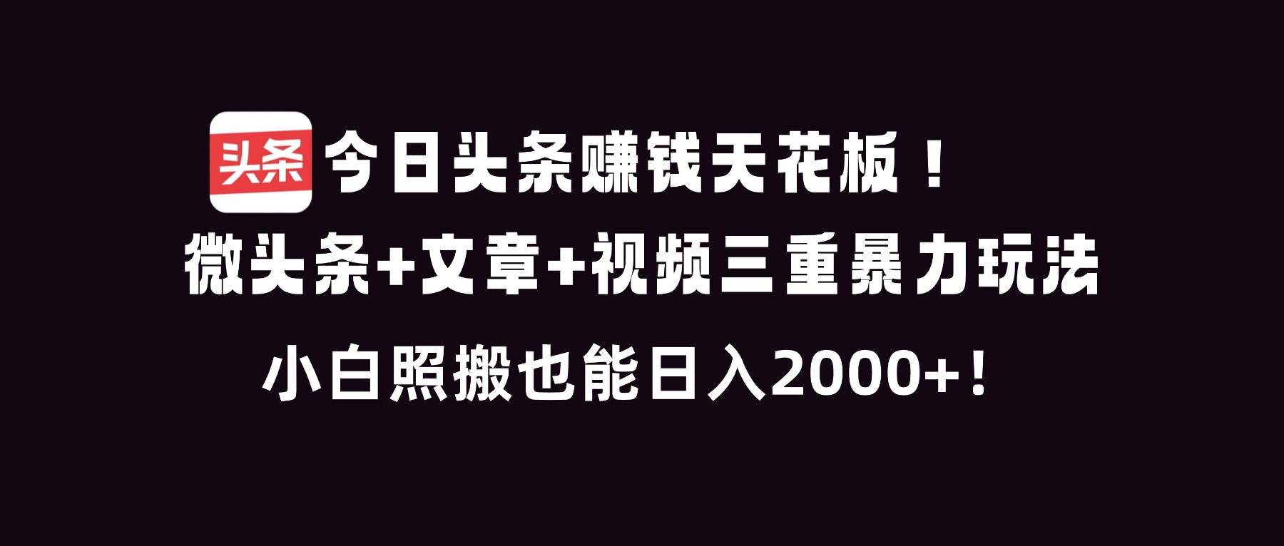 （16888期）今日头条赚钱天花板！微头条+文章+视频三重暴利玩法，小白照搬也能日人2000+-富爸爸项目圈