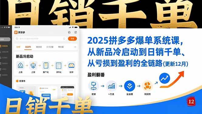 （16894期）2025拼多多爆单系统课，从新品冷启动到日销千单、从亏损到盈利的全链路（更新12月）-富爸爸项目圈