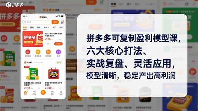 （16952期）拼多多可复制盈利模型课，六大核心打法、实战复盘、灵活应用，模型清晰，稳定产出高利润-富爸爸项目圈