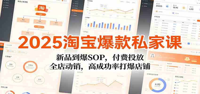 2025淘宝爆款私家课：新品到爆SOP，付费投放，全店动销，高成功率打爆店铺-富爸爸项目圈