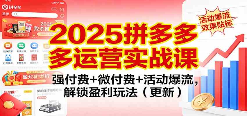 2025拼多多运营实战课：强付费+微付费+活动爆流，解锁盈利玩法（更新）-富爸爸项目圈